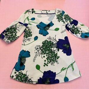 Anthro Deletta Tunic length swing top (from Anthropologie)